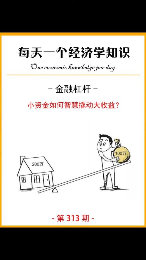 杠杆金融的运作模式，如何借助借入资金增加投资回报？