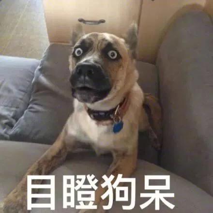 股指期货配资网_场外配资风险_高杠杆炒股危害